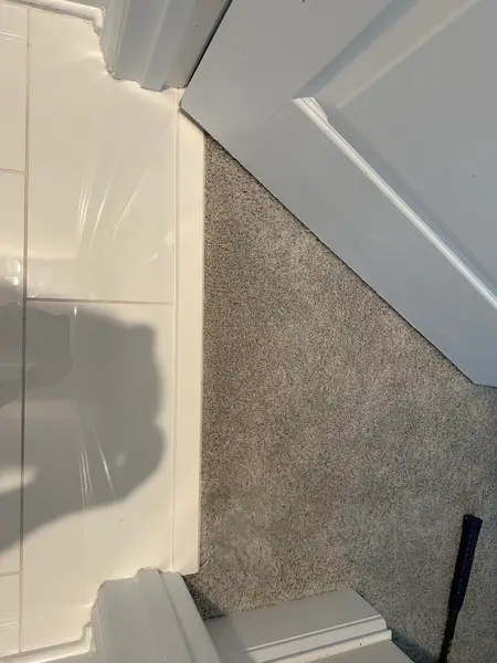 Carpet Repair in Clermont