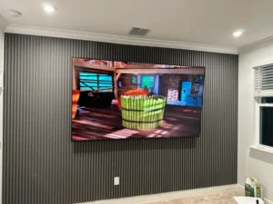 TV Wall Mount Installation in Winter Garden