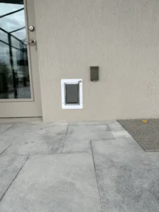 Cat Door Installation in Clermont