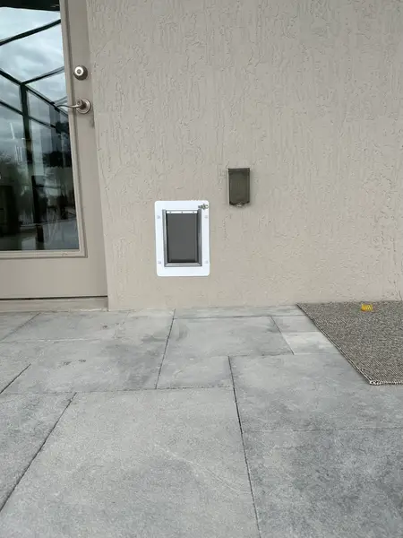 Cat Door Installation in Clermont